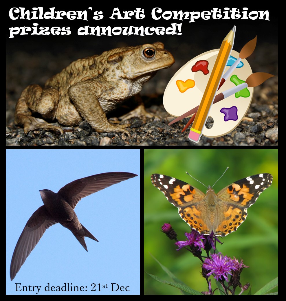 AotM_Event's tweet photo. PRIZES ANNOUNCED! All entries will be shown at our exhibition & winners will receive a goody bag of books & art materials. Send your entries before 21st Dec!
Details: https://t.co/TnDsvrmNyH .
Image credits: Erik Paterson, pau.artigas & Vicki DeLoach. https://t.co/RafqlVNX49