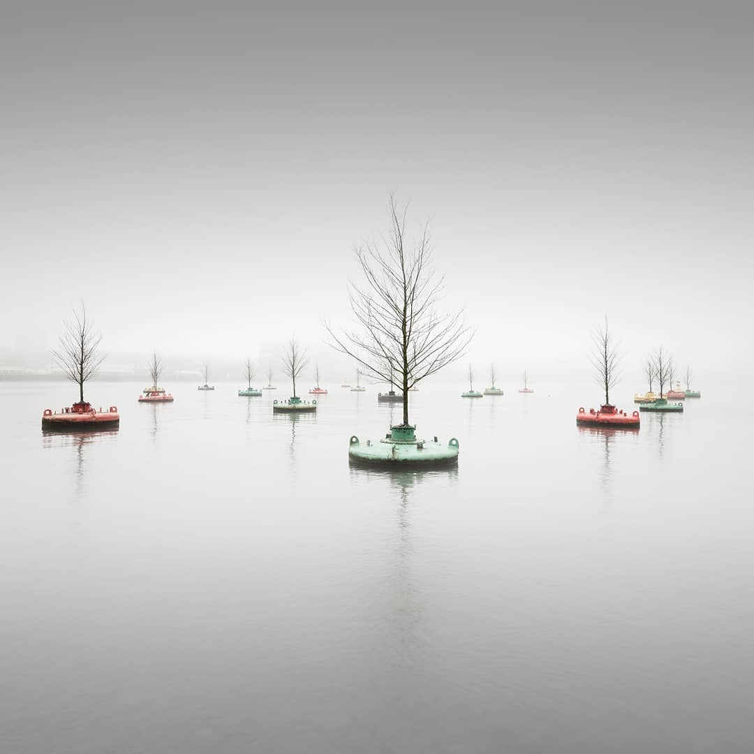 visiteurope's tweet photo. The ‘Bobbing Forrest’ 🌲by Jorge Bakker.
You can find this inspirational work in Rotterdam🇳🇱 📷 @vesapihanurmi
#visiteurope #creativeeurope #visitholland #nature #bobbingforest #dobberendbos #rijnhaven #rotterdam #rotterdamcity #netherlands https://t.co/2CgutHu9Fe