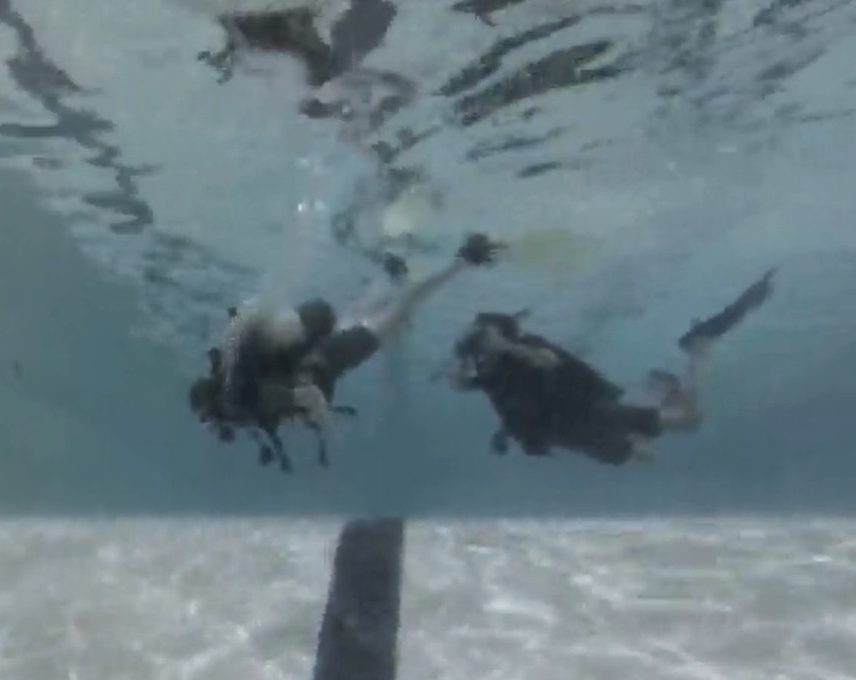 KESWitley's tweet photo. Many congratulations to the three @KESWitley, and one @BarrowHills, pupils who passed their PADI Open Water Referral @SMGSCUBA diving course yesterday. Well done to you all and thank you Mr Harrison for organising. #lovediving #scuba https://t.co/3J66mr7wnC