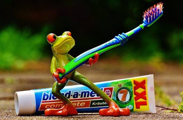 Goddess69Ganja's tweet photo. This is how I brush my teeth. 

https://t.co/b787z8AeK3 https://t.co/1TL5CwXELg