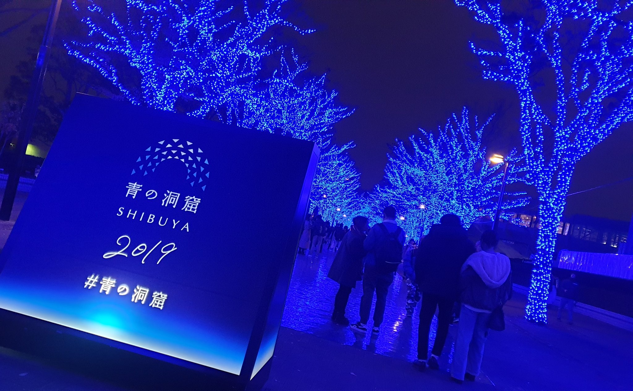 Yoko Lost In Japan Shibuya Blue Cave Illumination 19 Held At Shibuya Koen Dori Street To Yoyogi Park Keyaki Namiki From 29th November To 31st Dec 19 Till 14 January At Shibuya Koen Dori Street Every Day From 17 00 To 22 00 Yoko Lost In Japan Shibuya Blue Cave Illumination 19 Held At Shibuya Koen Dori Street To Yoyogi Park Keyaki Namiki From 29th November To 31st Dec 19 Till 14 January At Shibuya Koen Dori Street Every Day From 17 00 To 22 00