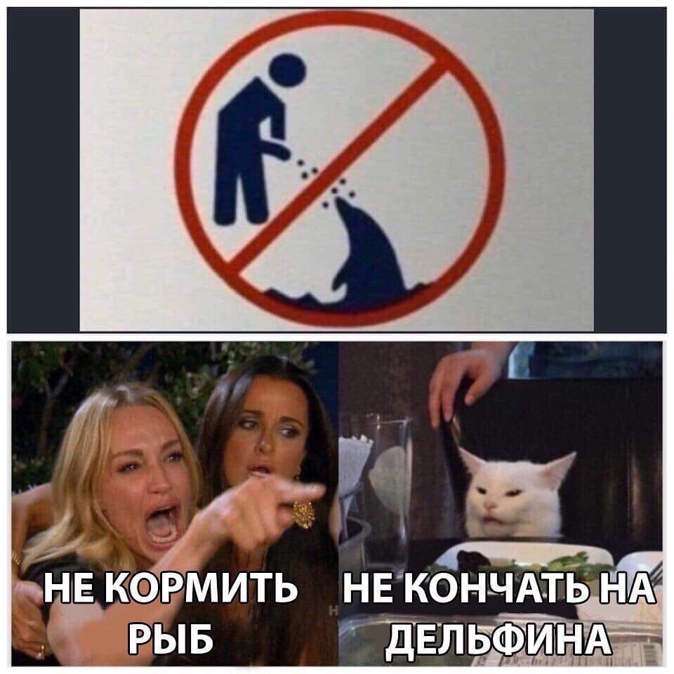 ELWgXMPWsAYKyli?format=jpg&name=medium