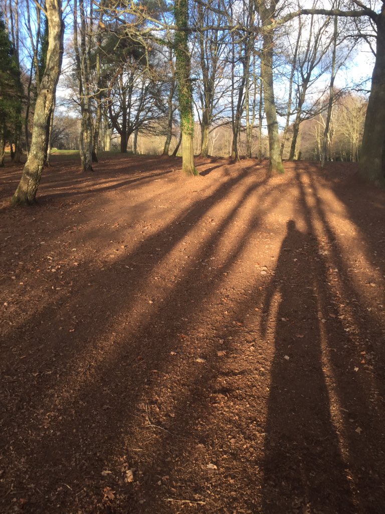 c_holty's tweet photo. Got the 1145 out today on the leaves in triangle between holes  1,2,9 , it was time consuming but it did a great bit of mulching Holtye G.C https://t.co/0AcWqPw3Yp