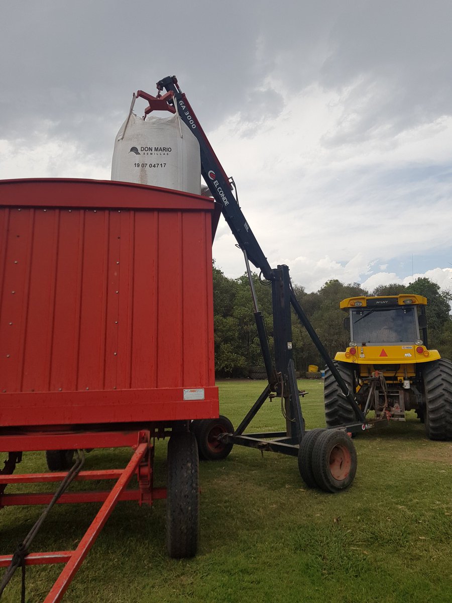 DONMARIOoficial's tweet photo. 🌱 En Sancti Spiritu (Santa Fe), @Joni_Damiani ya está probando la #Soja DONMARIO del futuro.
 
🚜 Sobre avena, desafió al alto potencial de DM 46R18 STS sembrando la variedad en desarrollo DM46i20 IPRO.
 
🤔 ¿Te damos un adelanto?

💪 Lo que viene es más rinde.
 
#Productividad https://t.co/rXn6rOvhJj