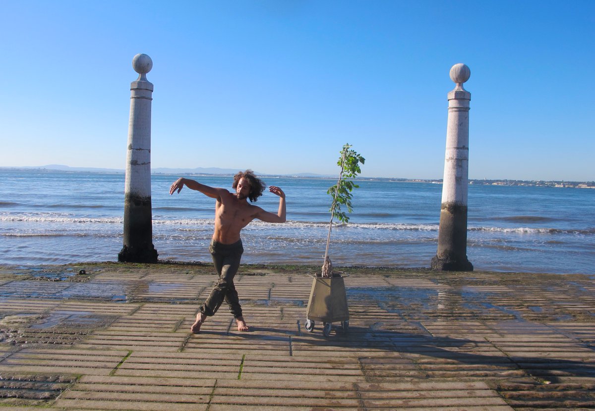 BIONICFESTIVAL's tweet photo. DANCING WITH PLANTS - BIONIC FESTIVAL 2020 OPEN CALL https://t.co/I17Q6MX616 #DANCEWITHTREES #GREENFESTIVAL #MADRID #SUSTAINABLEARTS #PEOPLEANDPLANTS #PERFORMINGARTS #BIONICDANCE #DANZABIONICA #BIONICFESTIVAL2020 https://t.co/QjwHX8HAZz