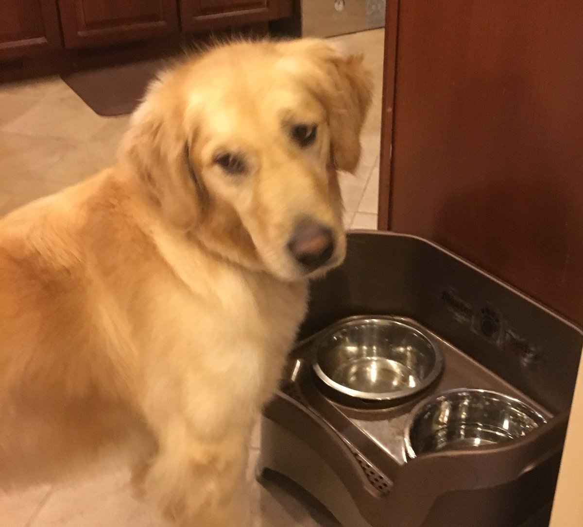 #MiamiOH students during finals week, my motherly advice with demos by Ivy. Study efficiently &amp; be sure to take care of yourself by getting enough sleep, good food &amp; exercise. “Rinse and Repeat” ( by Matt W.) and remember “Can you do this? YES or YES” ( by Ally L.). #LoveandHonor