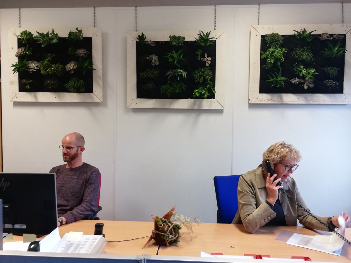 TerraNext tweet media