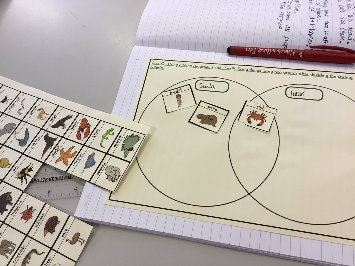 InspirationsStm's tweet photo. We are grouping living things based on their characteristics. There have been some incredible discussions, even Mr Ferry and Mrs Maddocks have learned so much as well. #STMScience #STMY4Science #STMLiviningThings https://t.co/j5QaKinaZH