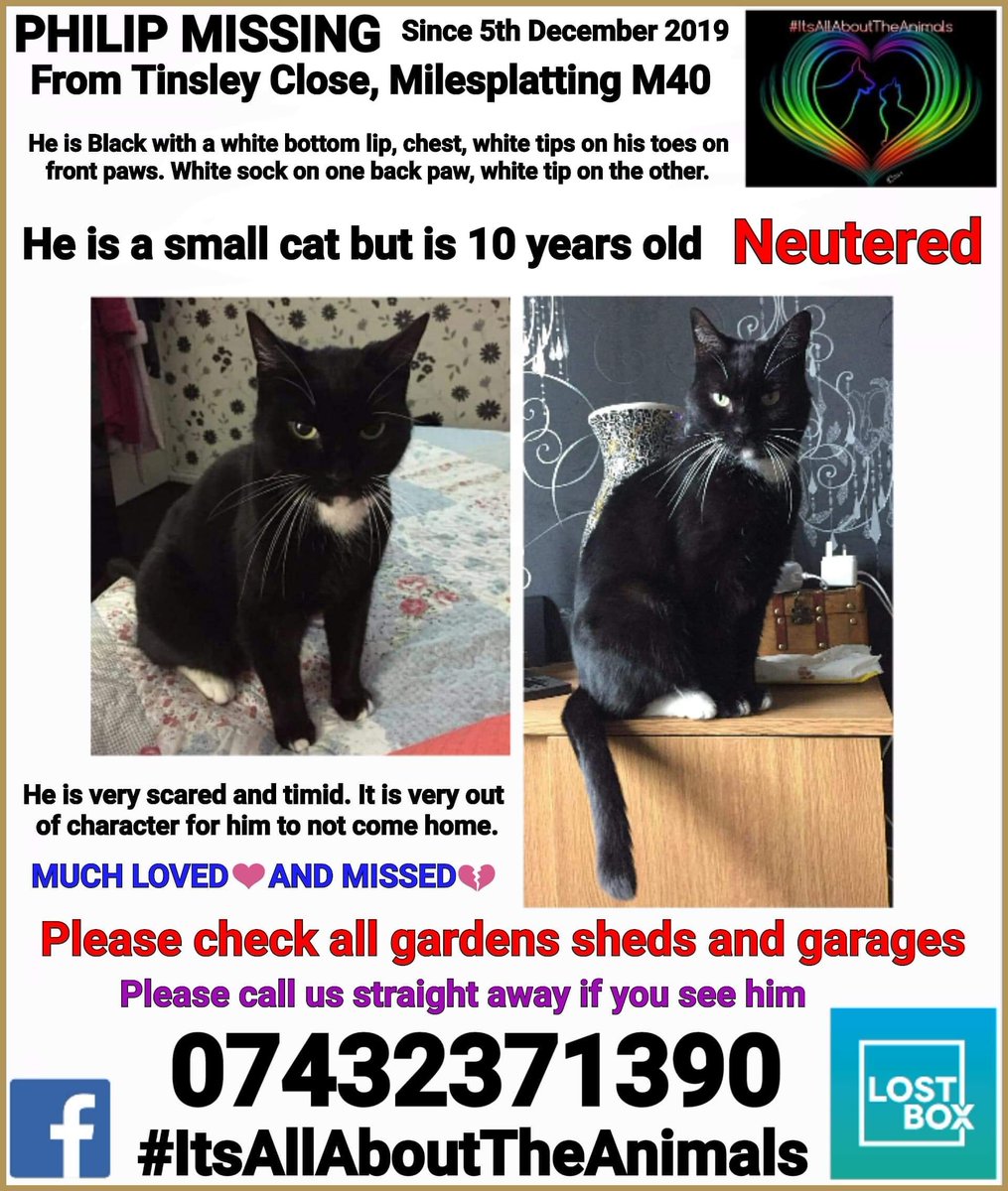 Angela Hoy (@hoy_angiehoy) on Twitter photo <a href="/BleakholtUK/">Bleakholt Official</a> Please #RT to help Philip home #Missing #Milesplatting #Manchester #heartbroken #family need him #home <a href="/IAATA2016/">IAATA</a> <a href="/MissGAtkinson/">Gemma Atkinson</a> <a href="/gizmos_legacy/">Gizmos Legacy</a> <a href="/CPMediaTeam/">CatsProtectionMedia</a> <a href="/LostboxUK/">Lostbox-Lost & Found</a> <a href="/HunnyJax/">Stolen Missing Longtimelost 🐾Where Are They All</a> <a href="/DoglostUK/">DogLost</a> <a href="/hitsmcrnews/">Hits Radio News | Manchester</a> <a href="/BBCRadioManc/">BBC Manchester</a> <a href="/petwatch2014/">Petwatch</a> <a href="/PetsAlertUK/">Pets Alert UK</a> <a href="/BleakholtUK/">Bleakholt Official</a> Please #RT to help Philip home #Missing #Milesplatting #Manchester #heartbroken #family need him #home <a href="/IAATA2016/">IAATA</a> <a href="/MissGAtkinson/">Gemma Atkinson</a> <a href="/gizmos_legacy/">Gizmos Legacy</a> <a href="/CPMediaTeam/">CatsProtectionMedia</a> <a href="/LostboxUK/">Lostbox-Lost & Found</a> <a href="/HunnyJax/">Stolen Missing Longtimelost 🐾Where Are They All</a> <a href="/DoglostUK/">DogLost</a> <a href="/hitsmcrnews/">Hits Radio News | Manchester</a> <a href="/BBCRadioManc/">BBC Manchester</a> <a href="/petwatch2014/">Petwatch</a> <a href="/PetsAlertUK/">Pets Alert UK</a>
