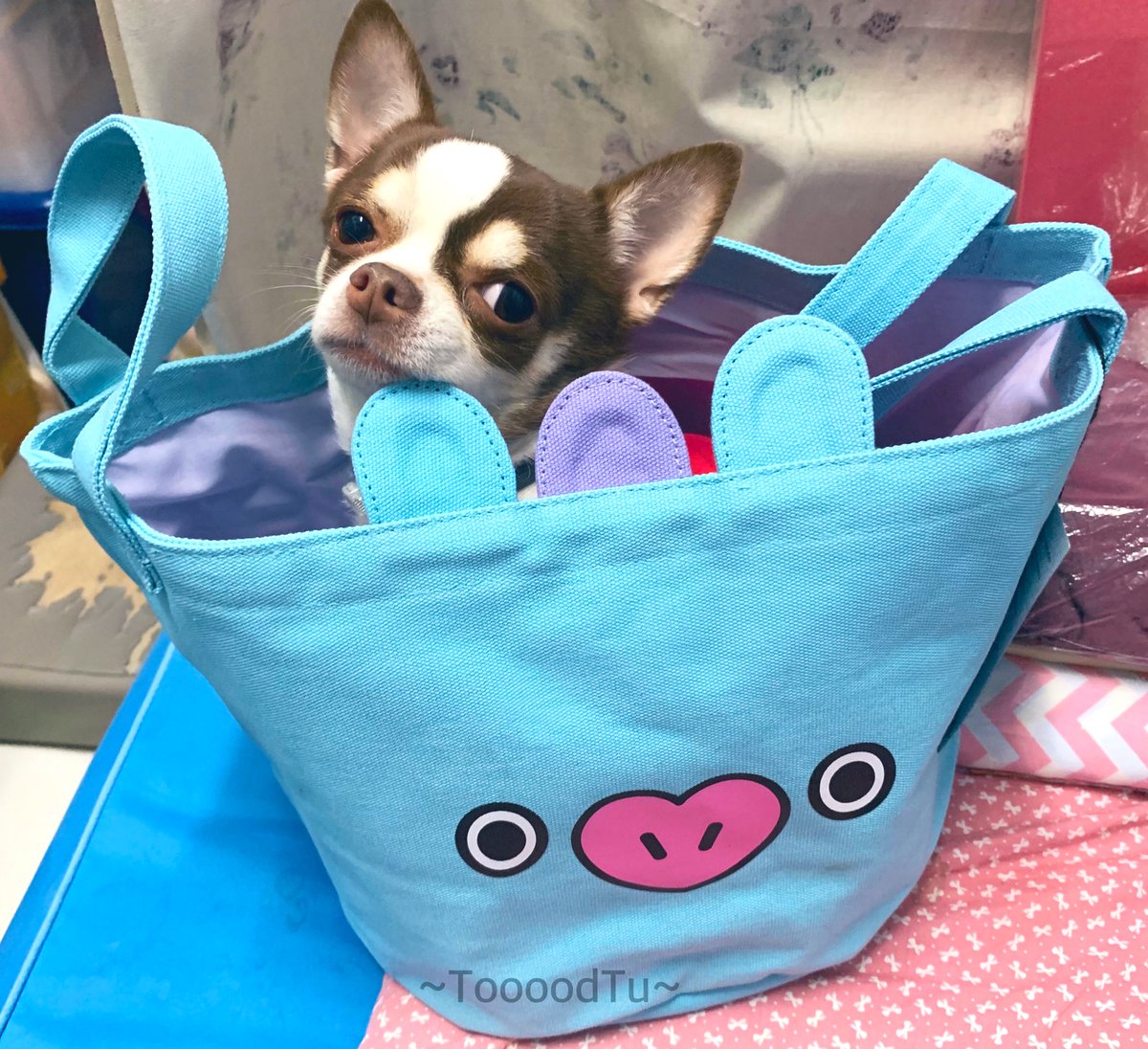 เราสั่งไปช้า ตัวเองยังรับแล้วหาของมาให้ได้ ขอบคุณมากๆ เลยนะคะ🤟💜😊 #CKCSReview