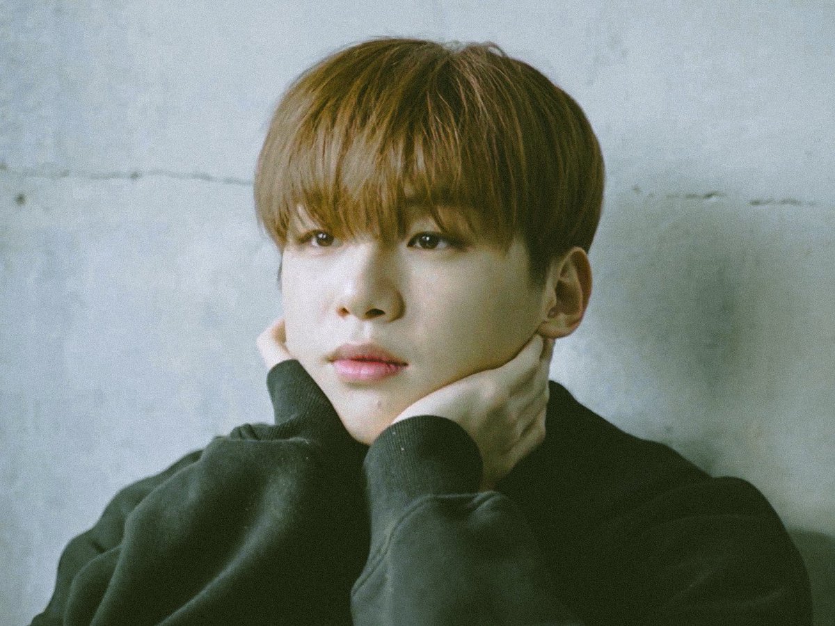 ccapturebyme's tweet photo. 𝗛𝗮𝗽𝗽𝘆 𝗯𝗶𝗿𝘁𝗵 𝗱𝗮𝘆 ♡

#KANGDANIELㅤ
#HappyDanielDay 
#첫눈같은_강다니엘_너의_색으로_물들다 https://t.co/pPTnMiX56N