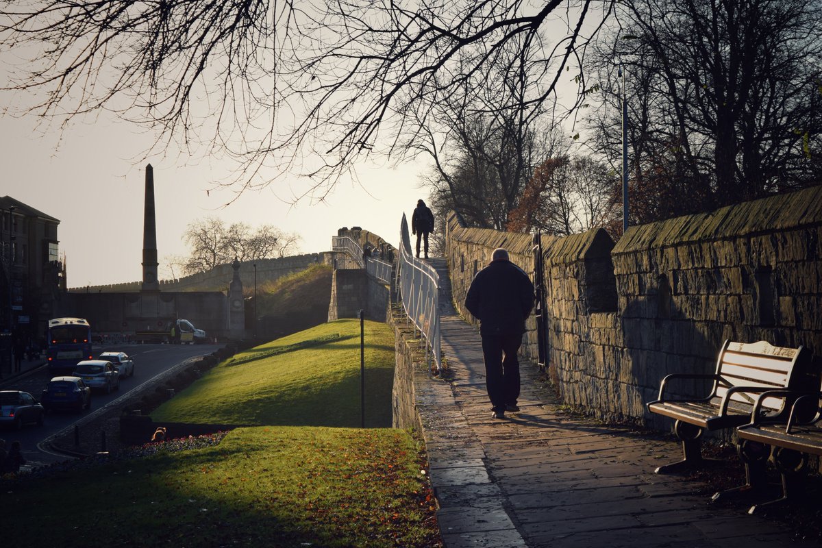 C_Carson_Photos's tweet photo. Golden Hour in York, on the City Walls and in the Museum Gardens: one of those cities that looks incredible no matter the season! #York #Yorkshire #YorkCityWalls #YorkMuseumGardens #Sunset #ScenicBritain #VisitYork #HistoricEngland #NaturalEngland https://t.co/VKOtxpl52o