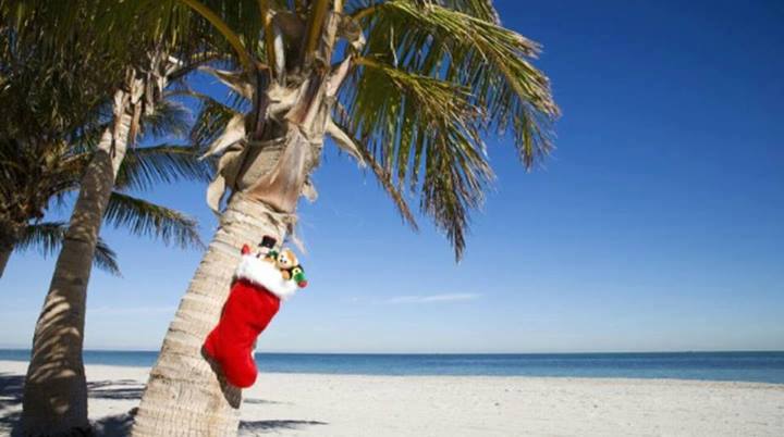 BlueMarlinMotel's tweet photo. Happy Monday! Who's ready for the holidays? #KeyWest #beachholiday #keywestmode #holidays https://t.co/MnWGLMpKjC