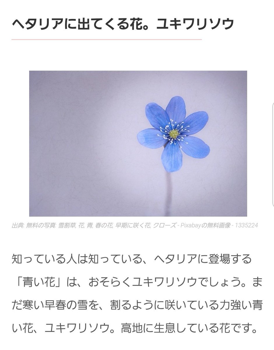 かかと Auf Twitter ヘタの あの青い花雪割草説を初めて知って 予想以上に可愛い花なのと花言葉がエモくて震えてる 画像はブログのような竹林様から