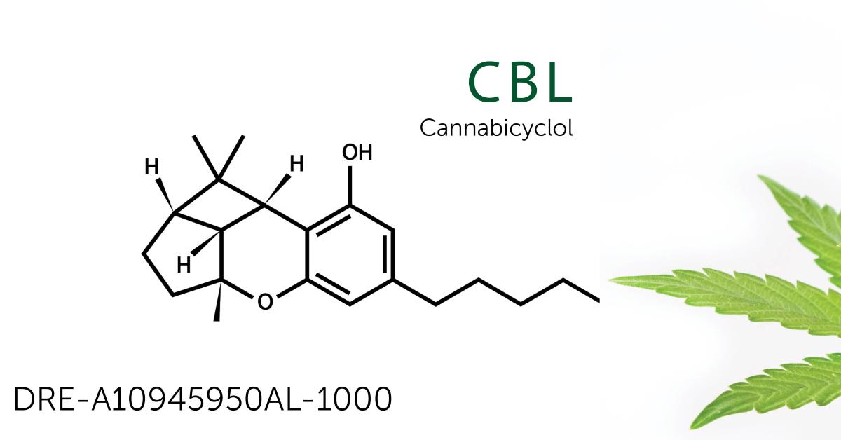 drehrenstorfer's tweet photo. Did you know? Cannabicyclol (#CBL) is a non-psychoactive #cannabinoid and is derived from cannabichromene (#CBC) over time once it has been exposed to light. 

Are you testing for CBL? Learn how Dr. Ehrenstorfer can help you: https://t.co/lWxAe64W9O

#AskAboutOurCannabinoids https://t.co/KoSQ2kAn4Q