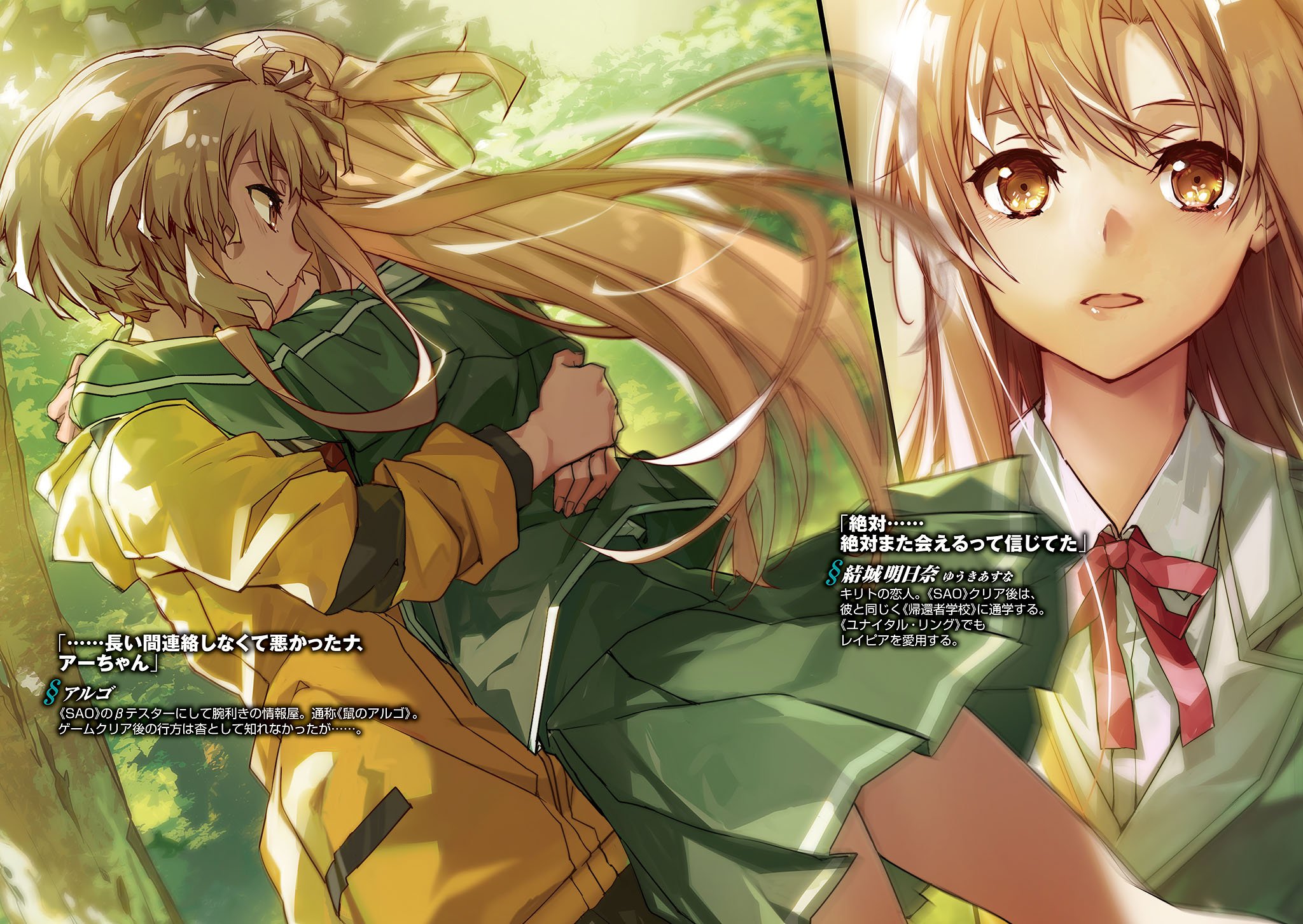 Sao Fulldive Light Novel Unital Ring Illustrations Du Volume 23 Unital Ring Ii 1 4 T Co 1flta191pa Twitter