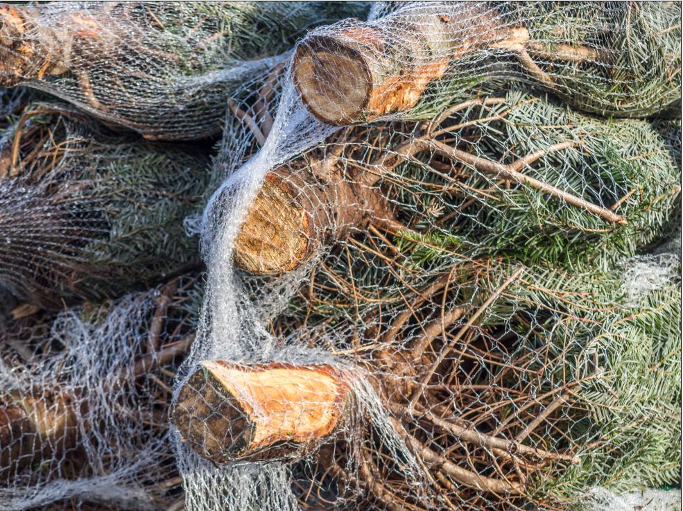 Kerstboom gekocht? Stop het plastic net dan niet bij het pmd-afval, want dan raken de sorteermachines in storing. 
Het net kan bij het restafval!.