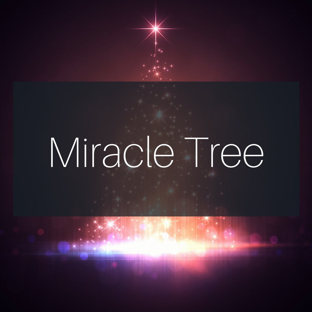 ChrisMBeall's tweet photo. 27 families left on the Rochester Miracle Tree at Shepherds Chevrolet. Please consider helping local kids this Christmas! https://t.co/WLchQWraye