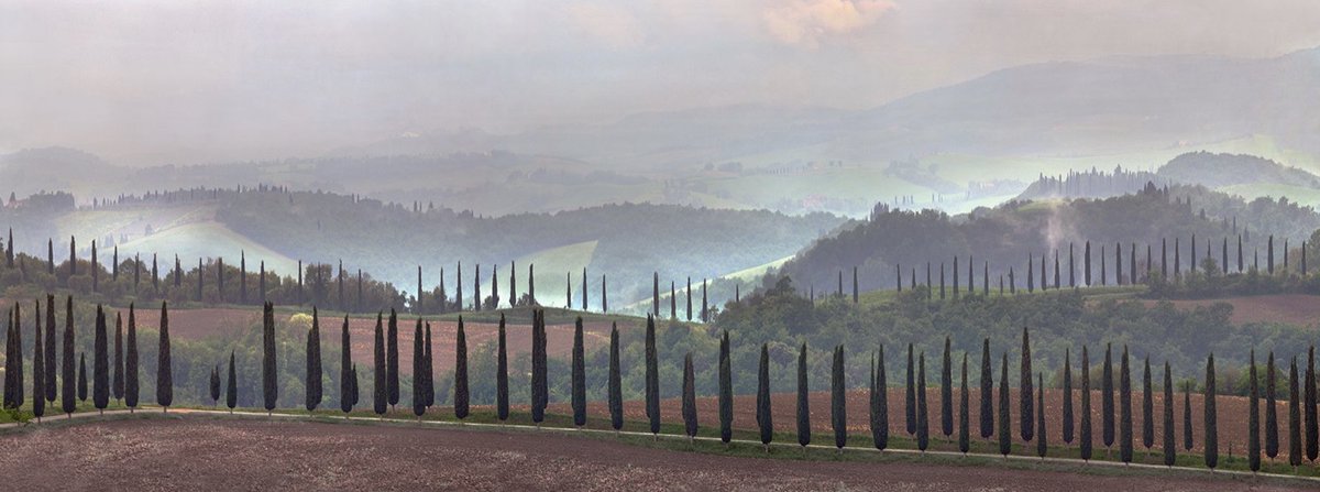 Charlie_Waite1's tweet photo. Charlie's Tips

Expansive landscapes can be overwhelming and for some over complicated. Try and make them coherent and cohesive and don’t be scared by them. https://t.co/8WpOtka2p1