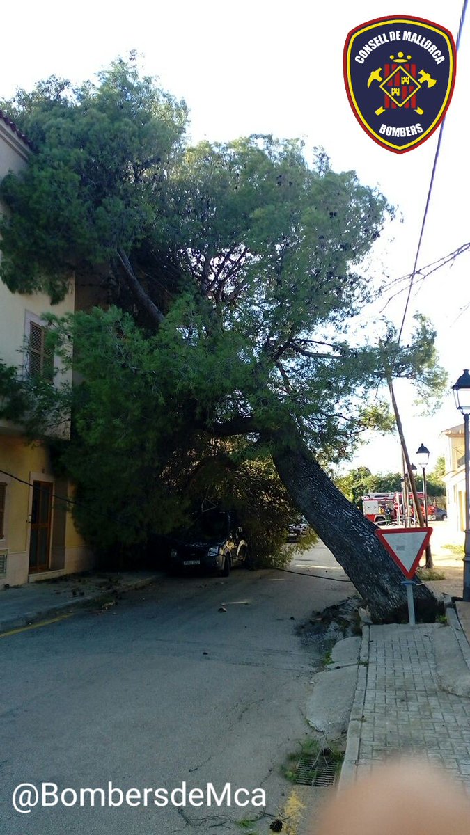 Dia complicat de serveis pel fort vent, especialment al Raiguer de Mallorca.
Netejes, façanes, arbres i incendis.
Tots els parcs de <a href="/BombersdeMca/">Bombers de Mallorca</a> fent feina a tope!!!
Ens donen suport <a href="/BombersPalma/">A.C.i E.</a> i <a href="/ibanat_IB/">IBANAT</a>.
Continuam fent feina.