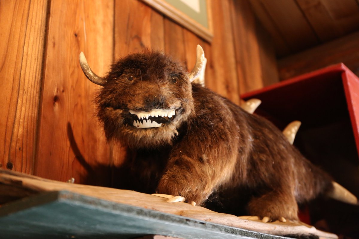 The Hodag tweet media