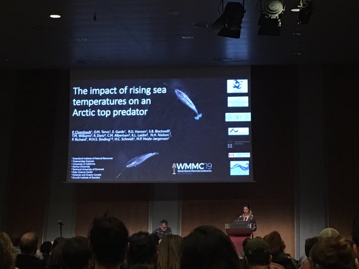 Future distributions of #narwhals? > Not in warmer waters <a href="/PhilippineCham1/">Philippine Chambault</a> #wmmc19