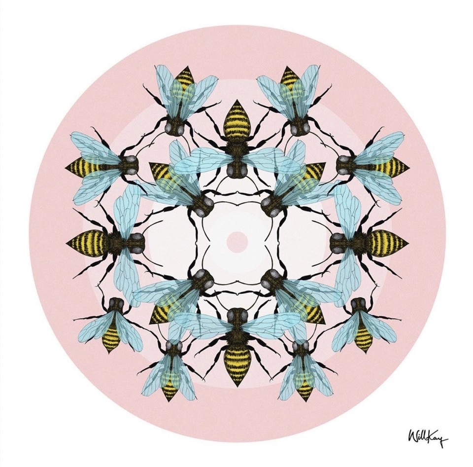 FerArtsLDN's tweet photo. ‘Bee Party’ 2019 by @willkay_oddkingdom - Illustrator, Designer + Creative Director https://t.co/hpl5rdAbSS