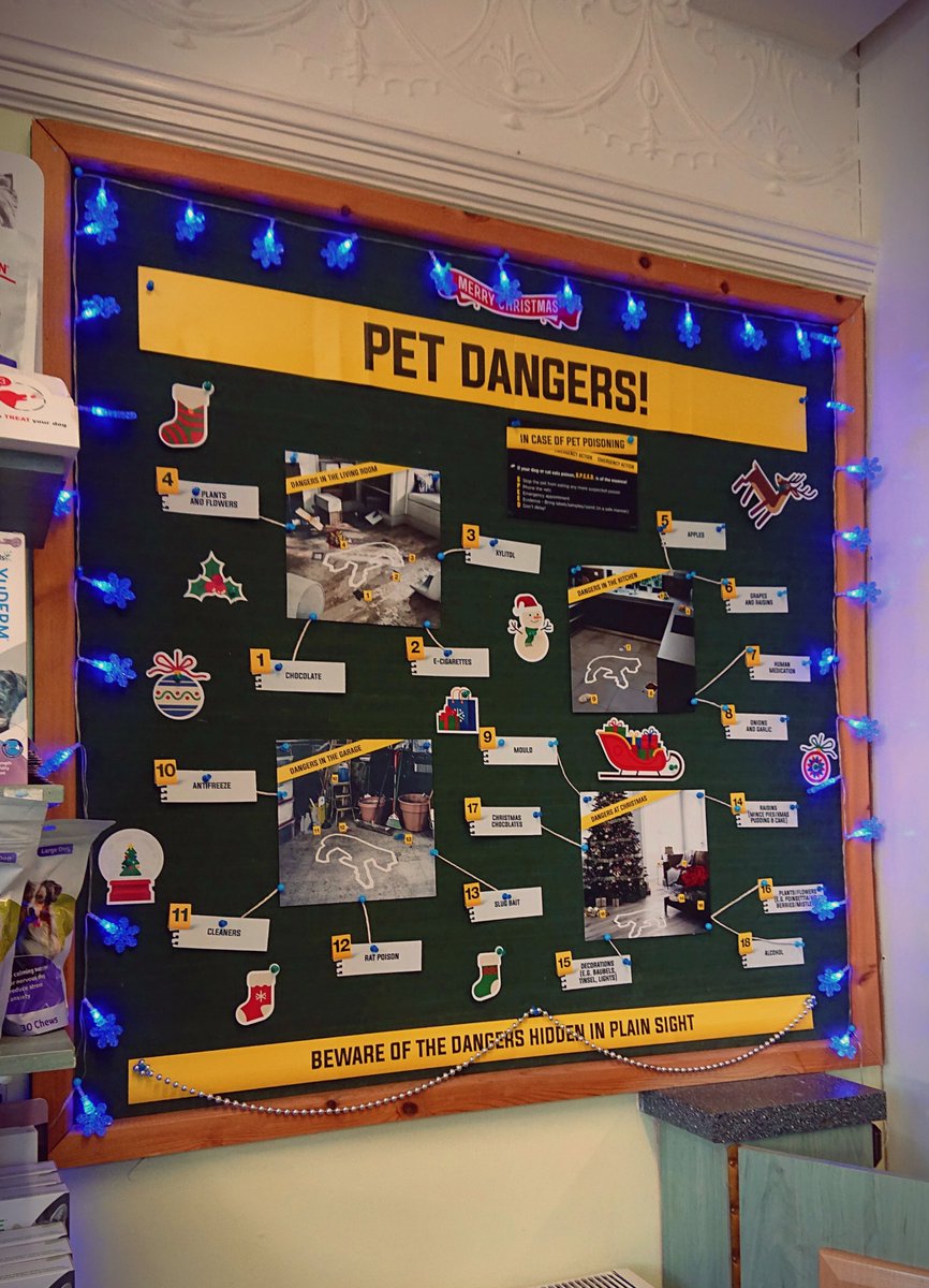 With Christmas on its way our pets are more at risk of poisoning check out our display on the different poisons your pet may find.... #tvmxmasparty