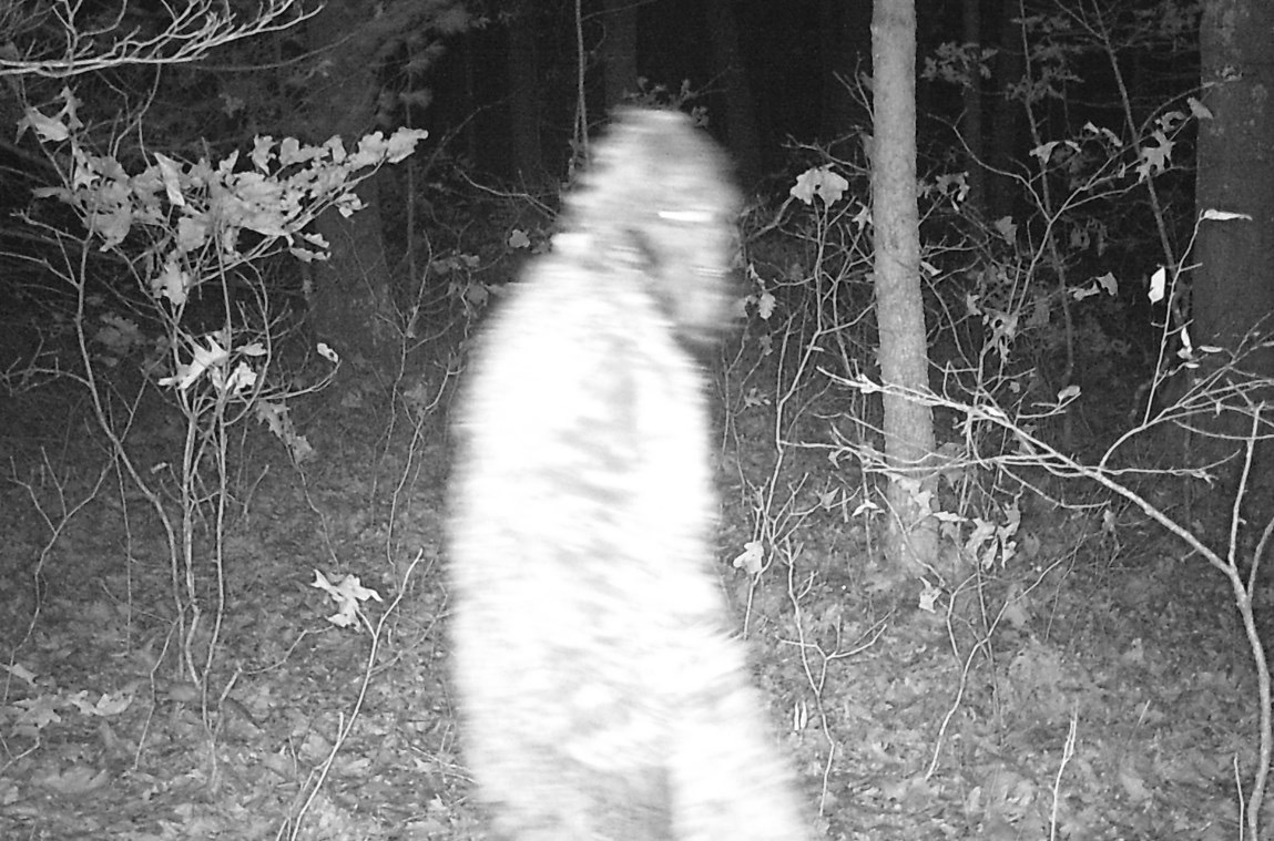 MacUnmanned's tweet photo. We received a call from Northern Michigan to help figure out what this is. It was taken on a trail cam recently. Any thoughts you have will help us narrow down how our drone search and rescue team approaches the problem. https://t.co/dMGNS8lkig
