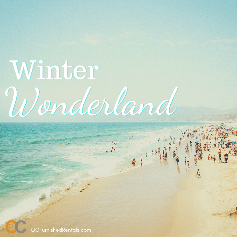 OCFurnishedRent's tweet photo. Winter? Still looks like summer around here! 

#SouthernCalifornia #OrangeCounty https://t.co/RZoRph8WzS