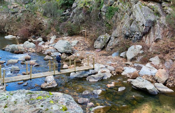 #ParqueNacionaldeCabañeros, la joya del bosque mediterráneo. Nuestra propuesta viajera para comenzar la semana 🌄: viajesporcastillalamancha.es/rutas/id97-cab…
#CastillaLaMancha #Enunlugardetuvida