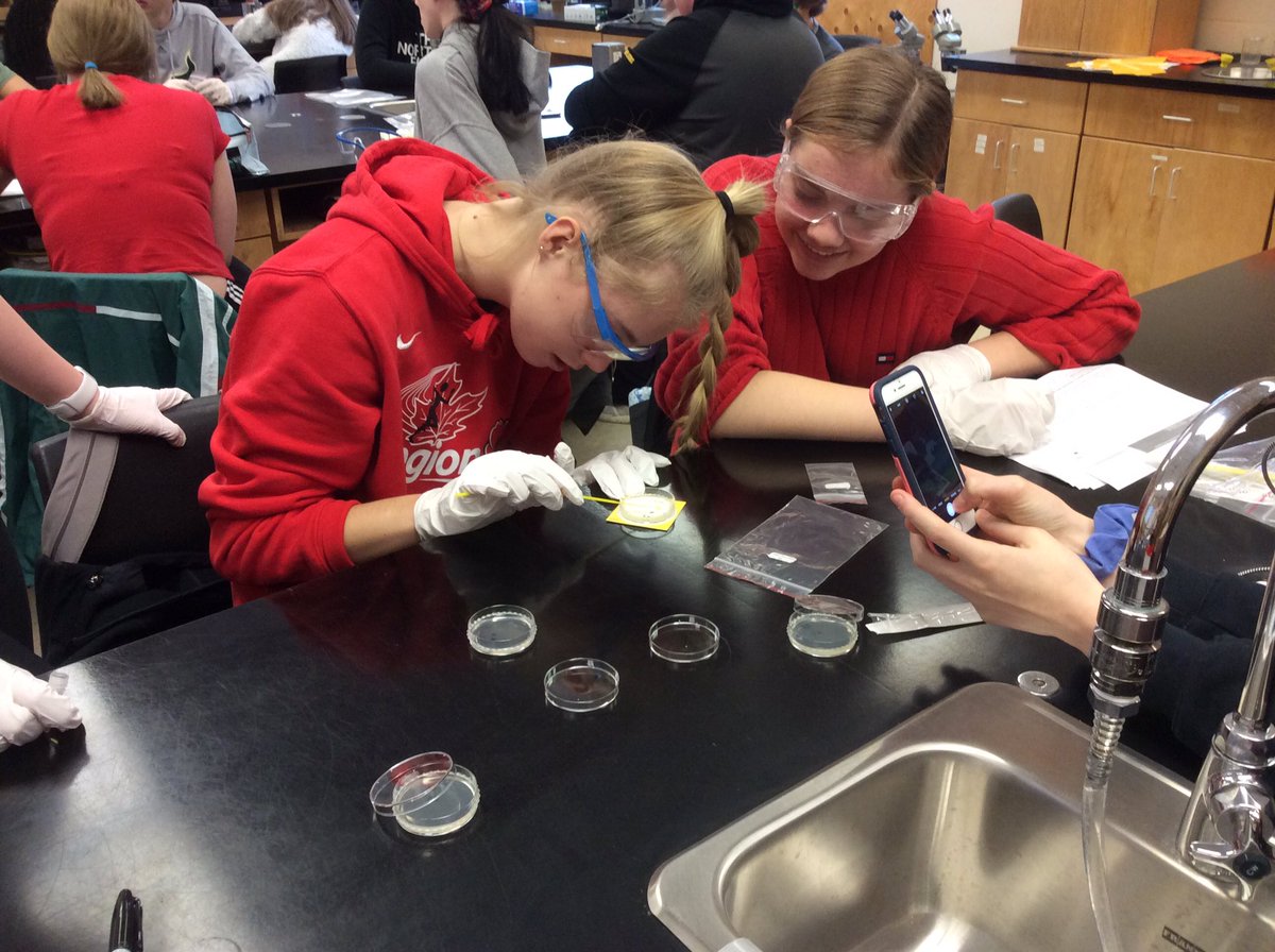 Just under 150 students started the process of their genetic engineering lab today!  Steps included making agar plates and streaking cells to grow colonies of bacteria overnight. #geneticengineering #bacteria #makered #MRSPARKLESURPRISE #FHS <a href="/ASDWLimelight/">ASD-W Limelight</a> <a href="/Aminobiolab/">Amino Labs</a>