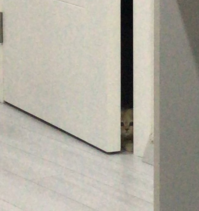 bartuklr's tweet image. İçerde annemle babam benim hakkımda konuşuyordur 
Ben: