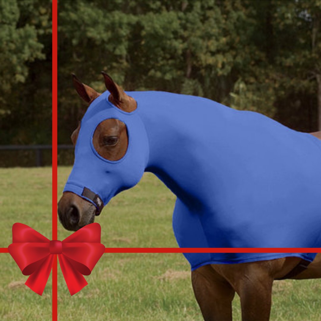 Day 9/24 -- Bought to you by Sleazy Sleepwear, this lycra stretch hood is the original horse pajamas! Use this stretch hood for more than taming the mane, it doubles as a liner under heavy winter blankets. 

Find a dealer near you at noble-canada.ca

#NobleCanada #Horse