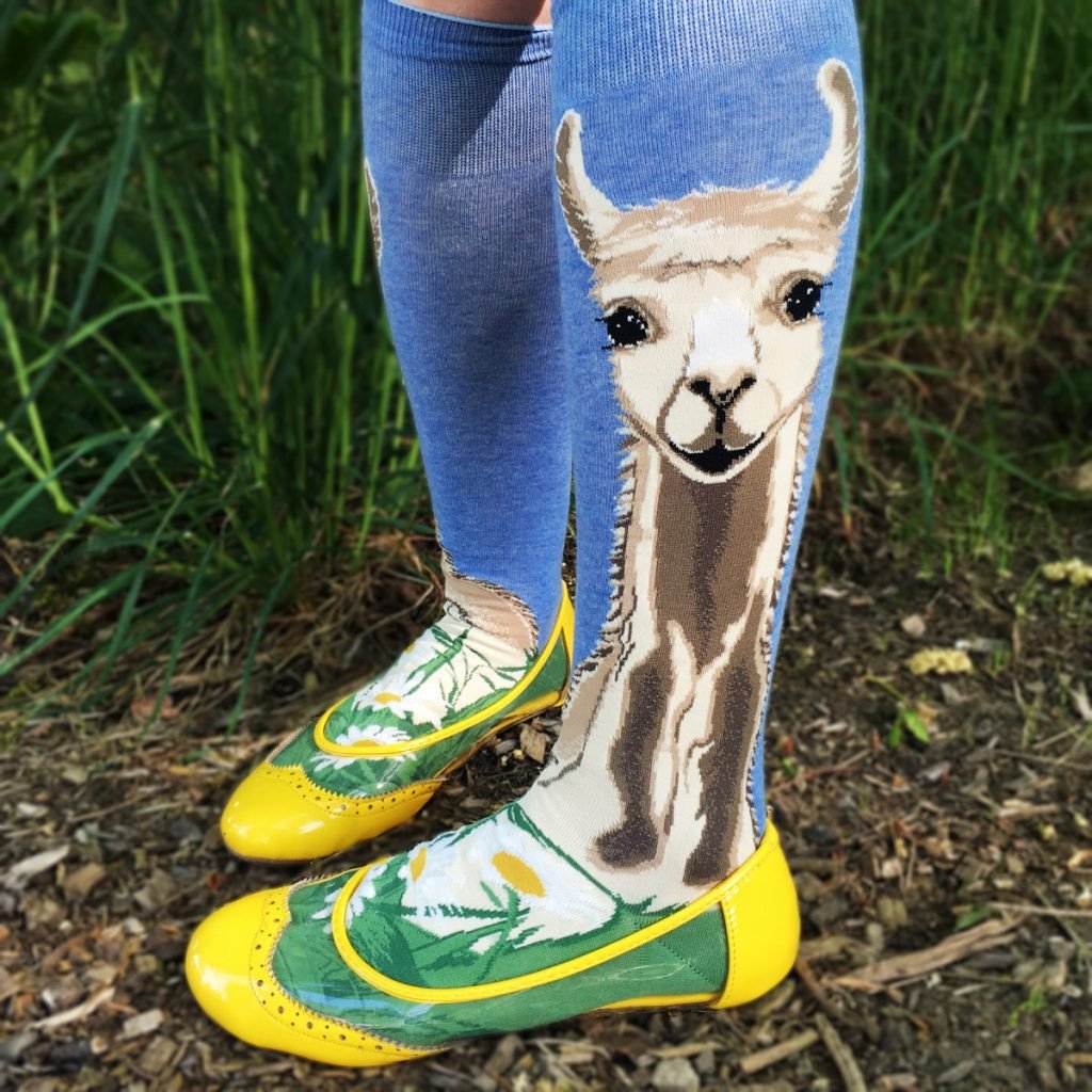 ModSock's tweet photo. Have a cute and cozy National Llama Day! #LlamaDay #llamasocks https://t.co/B42SjoZgrK