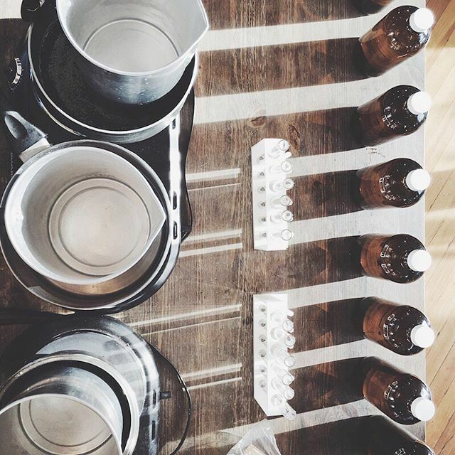 CSAPOTHECARY's tweet image. Just a little shadow play before getting started with the days botanicals 🌓 ift.tt/2RzvaAI