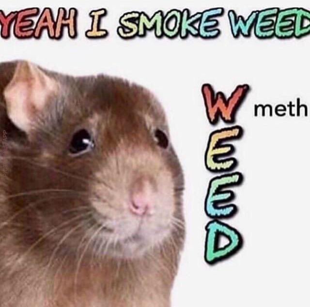 _SickOmega's tweet photo. @MitchTeep https://t.co/eXs22V8JTS