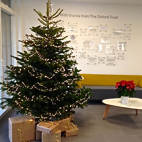 TheOxfordTrust's tweet photo. The festive season beginsโฆ. Weโve just put up our Christmas tree at #Stansfeld Park โ @WCFI_OI @scienceoxford centre. Who are all the presents for? https://t.co/jiPfpEVL3J