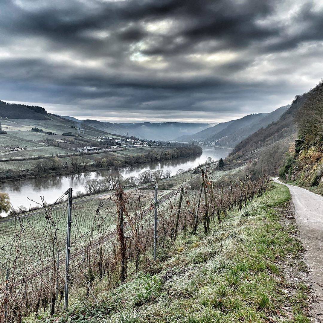 Dark, cold, and beautiful. #moselwinter
📷: @klare_wijn