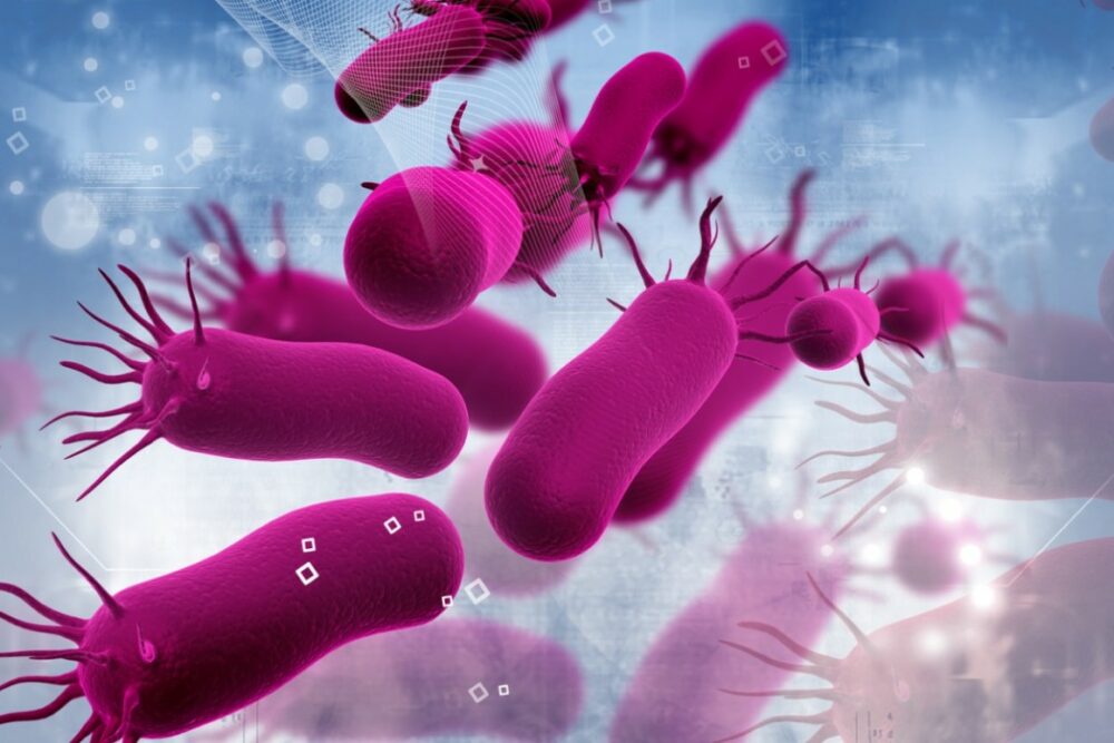 Dxt_Saludable's tweet photo. Los antibióticos llevan ayudándonos a combatir infecciones desde hace ya más de medio siglo. Antes de que se desarrollaran, incluso un pequeño rasguño podía ser fatal, dar a luz y someterse a una cirugía eran mucho más peligroso y las infecciones  #antibi https://t.co/xAJhQ751PR https://t.co/FMEoImsz2c