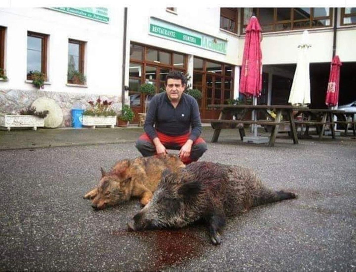 LuisVMoreno's tweet photo. La basura humana se llama Olegario Garcia y su restaurante La Cerezal, en La Collera (Ribadesella).
Ahora a pasarnos por TripAdvisor para que la gente no visite lugares regentados por infraseres. https://t.co/oOLXOhMMgh