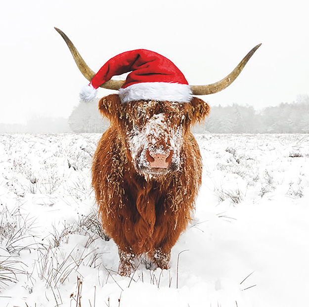 CowSquadGuild's tweet photo. Anyone else feeling festive? 🎅🐮 https://t.co/PIuJSm6xX4