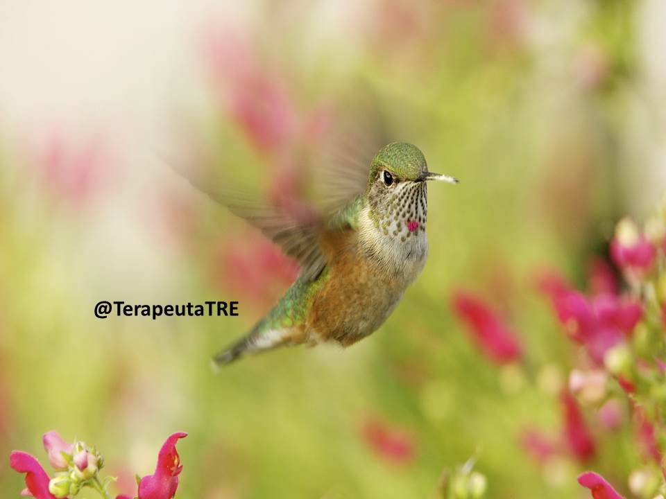 @angieflower59 <a href="/118ROCIO29/">Sonia Rocío Roa Rodríguez 😊️😘❤🥰</a> <a href="/america4455/">SOL ETERNO 🌞</a> <a href="/maralinda67/">Mara</a> @Yesy09752495 <a href="/Valeria64106358/">🌷🍃Valeria🍃🌷</a> <a href="/halconavicencio/">🌹❤️ELENA MIRANDA V.❤️🌹#E̲l̲e̲M̲i̲r̲a̲n̲d̲a̲</a> <a href="/Sonia40933646/">Sonia💐🌻</a> <a href="/AracelyZambada/">❤ALMA ♥️💕</a> <a href="/ale07lamillo/">Alejandra 💖🌺💖🌺</a> <a href="/PriscaBrusau/">♦️Bárbara Brusau♦️#AmigosLeais♦️</a> @Avatar20167520 <a href="/OnlineRegister1/">Online Register</a> <a href="/blancaalarcon14/">_💞💯millo de mi vida_💞</a> <a href="/LaCesi88/">Cesi CARP❤🇦🇷</a> <a href="/Gachy__River/">Piel Morena🤍♥️🤍</a> #SigoYRecomiendo  💎

@angieflower59
<a href="/maralinda67/">Mara</a> 
@Yesy09752495 
<a href="/Valeria64106358/">🌷🍃Valeria🍃🌷</a> 
<a href="/halconavicencio/">🌹❤️ELENA MIRANDA V.❤️🌹#E̲l̲e̲M̲i̲r̲a̲n̲d̲a̲</a> 
<a href="/Sonia40933646/">Sonia💐🌻</a> Gracias 💖😘
@TerapeutaTRE 
<a href="/AracelyZambada/">❤ALMA ♥️💕</a> 
<a href="/ale07lamillo/">Alejandra 💖🌺💖🌺</a> 
<a href="/PriscaBrusau/">♦️Bárbara Brusau♦️#AmigosLeais♦️</a> 
@Avatar20167520 
<a href="/OnlineRegister1/">Online Register</a> 
<a href="/blancaalarcon14/">_💞💯millo de mi vida_💞</a> 
<a href="/LaCesi88/">Cesi CARP❤🇦🇷</a> 
<a href="/Gachy__River/">Piel Morena🤍♥️🤍</a>