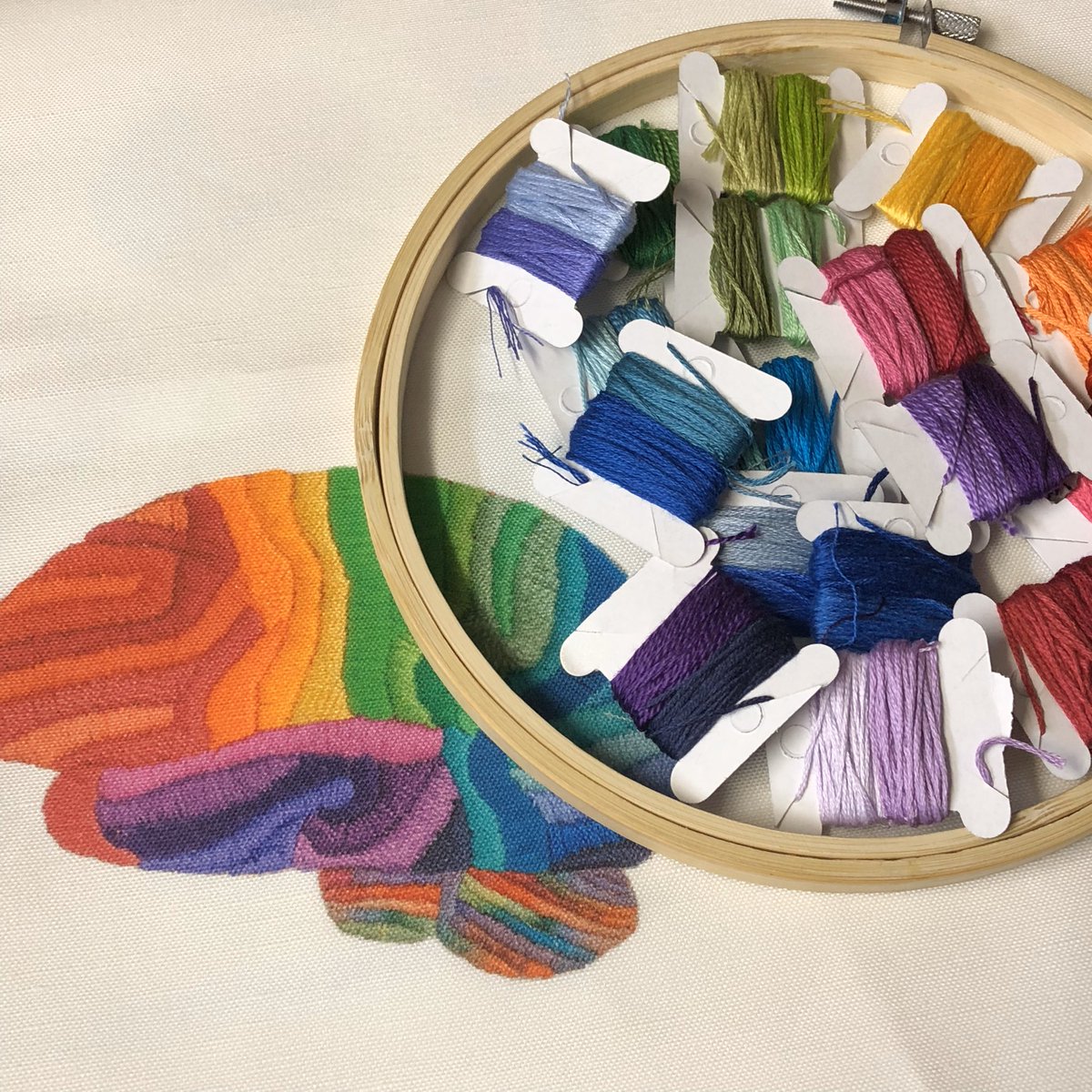 LauraBundesen's tweet photo. Who still needs to get their #rainbowbrainkit ?? Four more back in stock after I ran out last week - and today is my ship by date for guaranteed Christmas delivery with FREE shipping https://t.co/dzGOLe1wFn