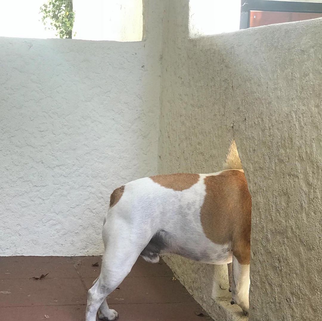 191209 choi_seung_hyun_tttop IG update:

(No caption)
🔗instagram.com/p/B515ruyhhYf

#Topstagram #BIGBANG #빅뱅 #탑 #최승현 #TOP #ChoiSeungHyu