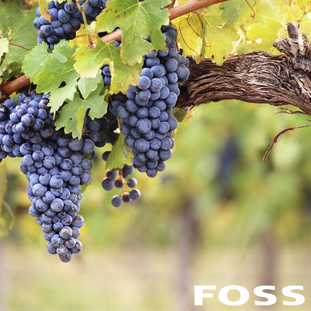 FOSS_Americas's tweet photo. SO2 test methods compared – which is the fastest? https://t.co/ikjecK2CyB
#winetesting #sulphurdioxide #wineanalysis #winescan #winemaking https://t.co/YW2fz1vNNK