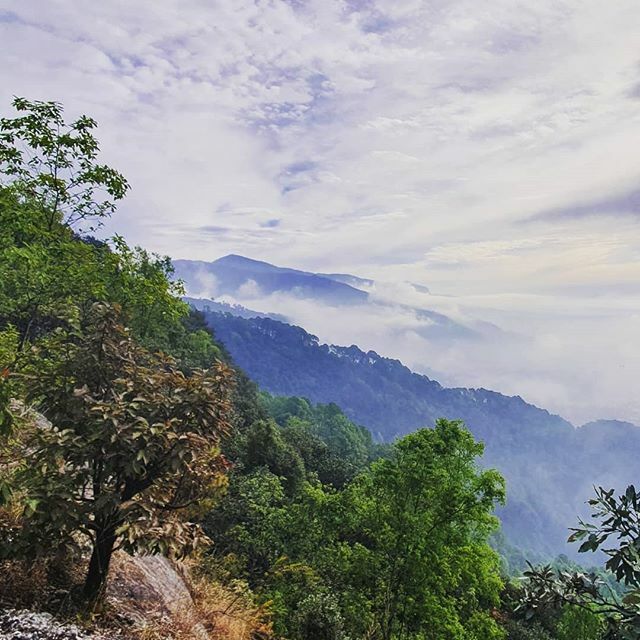 Mountains for monday! The next part of my Nepal blog is now up! Comes complete with more mountains,  some medics, a hospital and leopards!🇳🇵
Check it out the link in my bio ⬆️ and let me know what you think!

#powerofrunning #nepalimpactmarathon #NepalMa… ift.tt/359PIDS