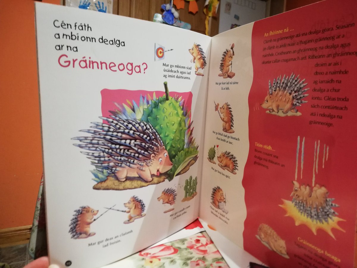 J_A_deBrun's tweet image. #bookelves19 #eolas #information
CÉN FÁTH A BHFUIL CUMA AIT ORAINN? Le @AnGumFnaG Tá gach leathanach maisithe go haoibhinn le léaráidí lán brí agus grinn agus tugtar freagra ar gach ceist sna blúirí eolais faoi ainmhithe ar nós, an Leon, an Eilifint, an Crogall, agus neart eile!