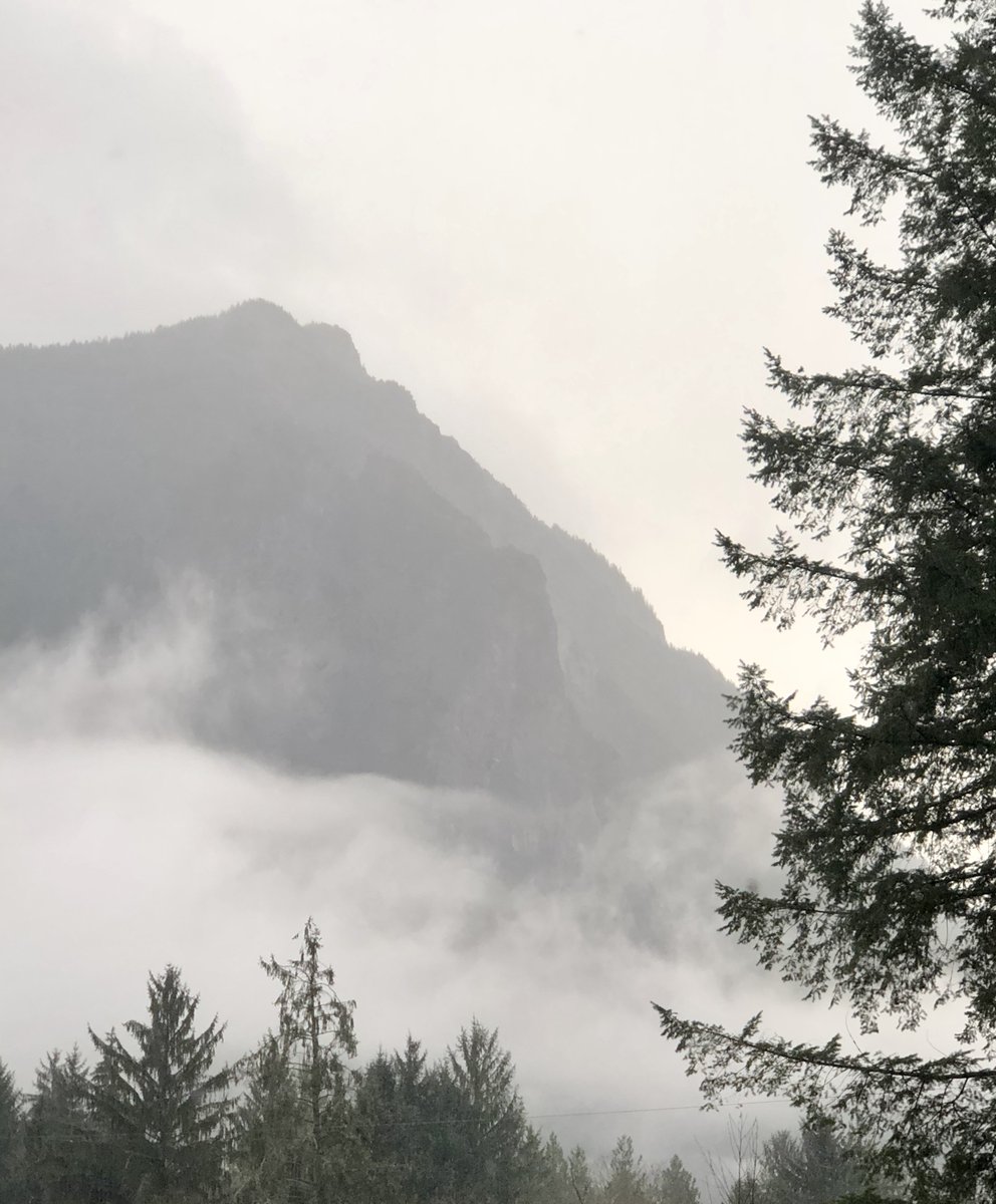 Here's the view you get to enjoy whilst taking yoga from our certified instructor, Carlye Wilde, here at Wilde Moon Retreat &amp; Studios. wildemoonretreat.com 
#wildemoonretreat #yoga #yogateacher