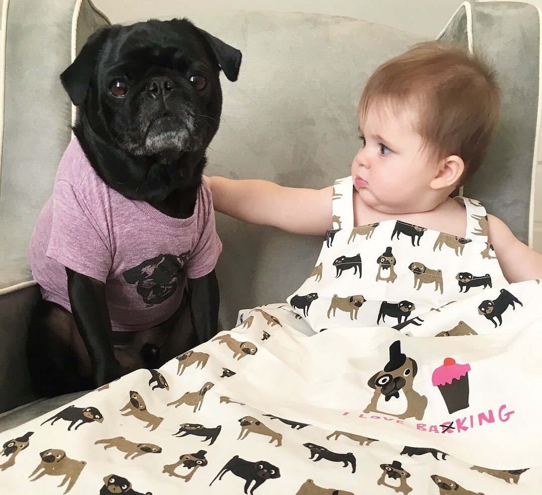 theblackpug's tweet photo. Charlie has picked out his favorite things and they’re 20% off! Use the promo code CHARLIE at checkout. Discount applies to certain items only. https://t.co/dYTVoitVgY 😘 #pug #pugstore #pugapparel https://t.co/iYwrGdSs1F
